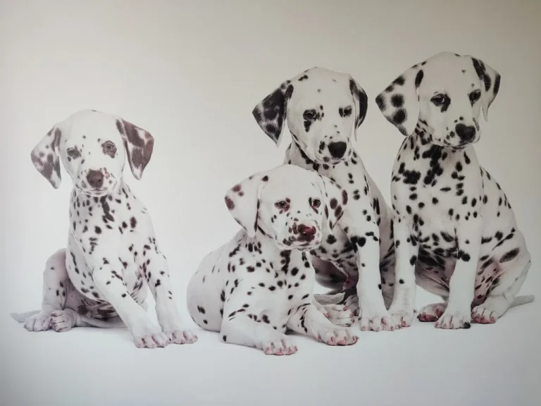 UV wall printer – how does it work and why is it changing the decoration market