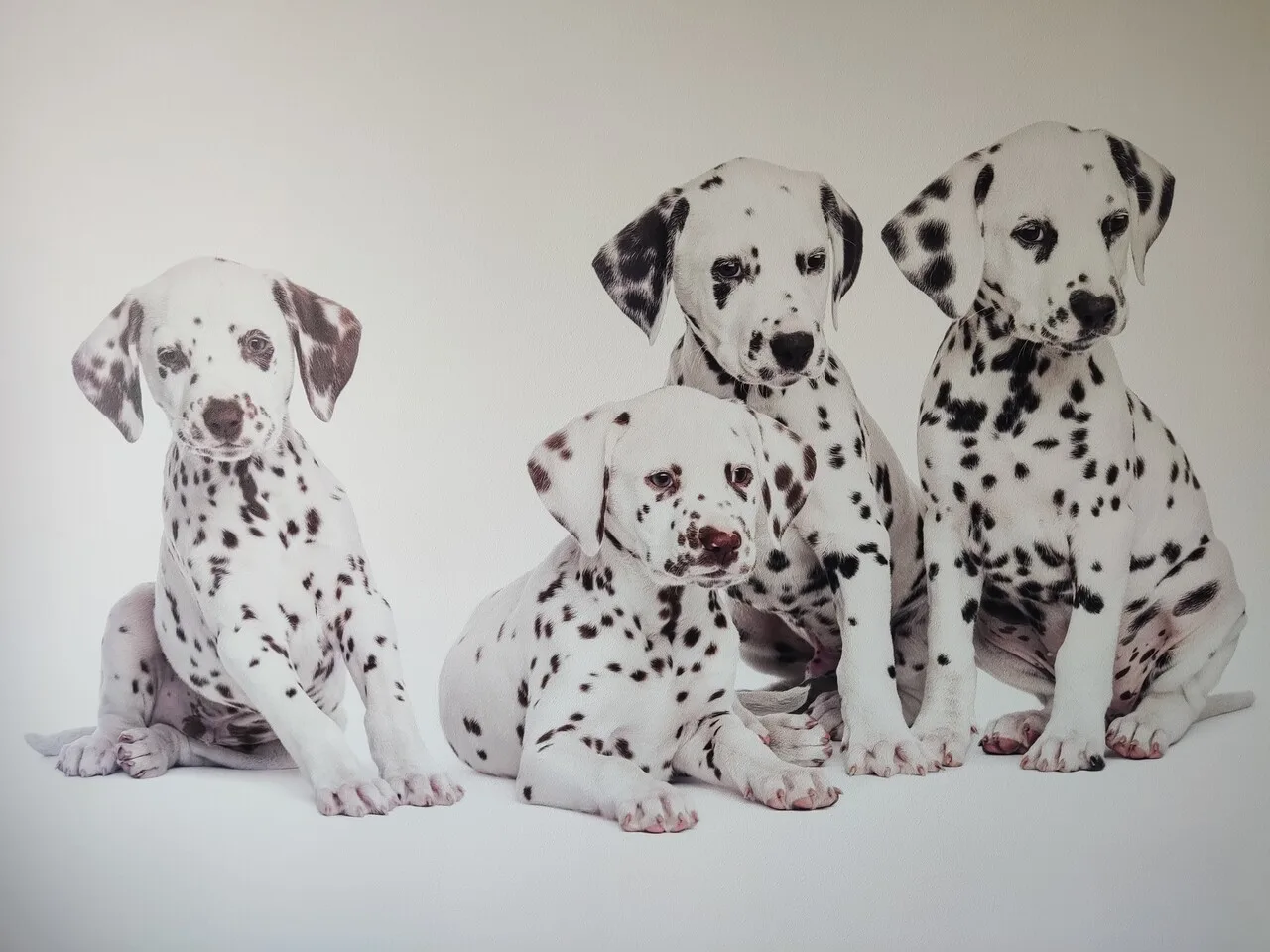 UV wall printer – how does it work and why is it changing the decoration market?