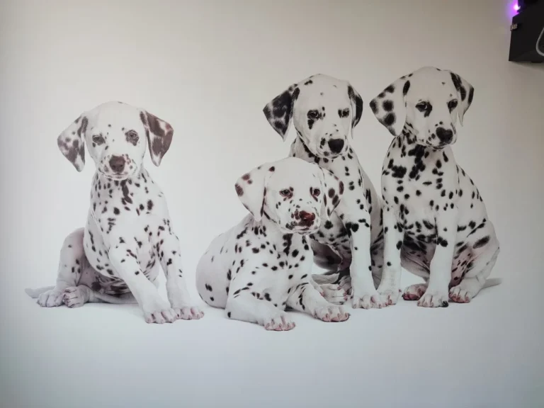 Nowoczesne drukarki ścienne — jak zarabiać na druku UV