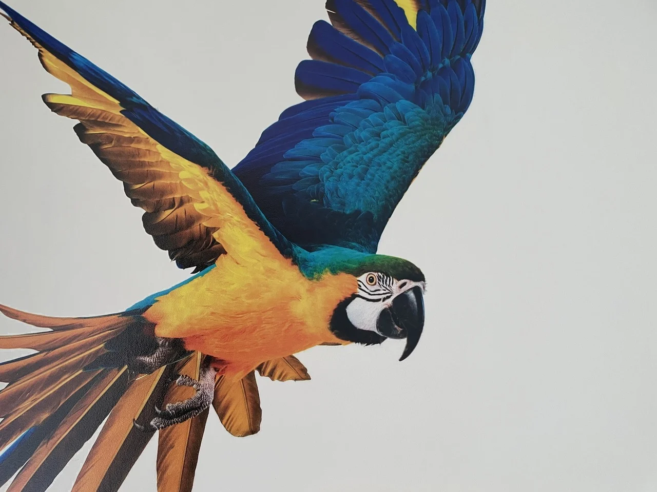Wall printer training – what will you learn and what are the benefits?