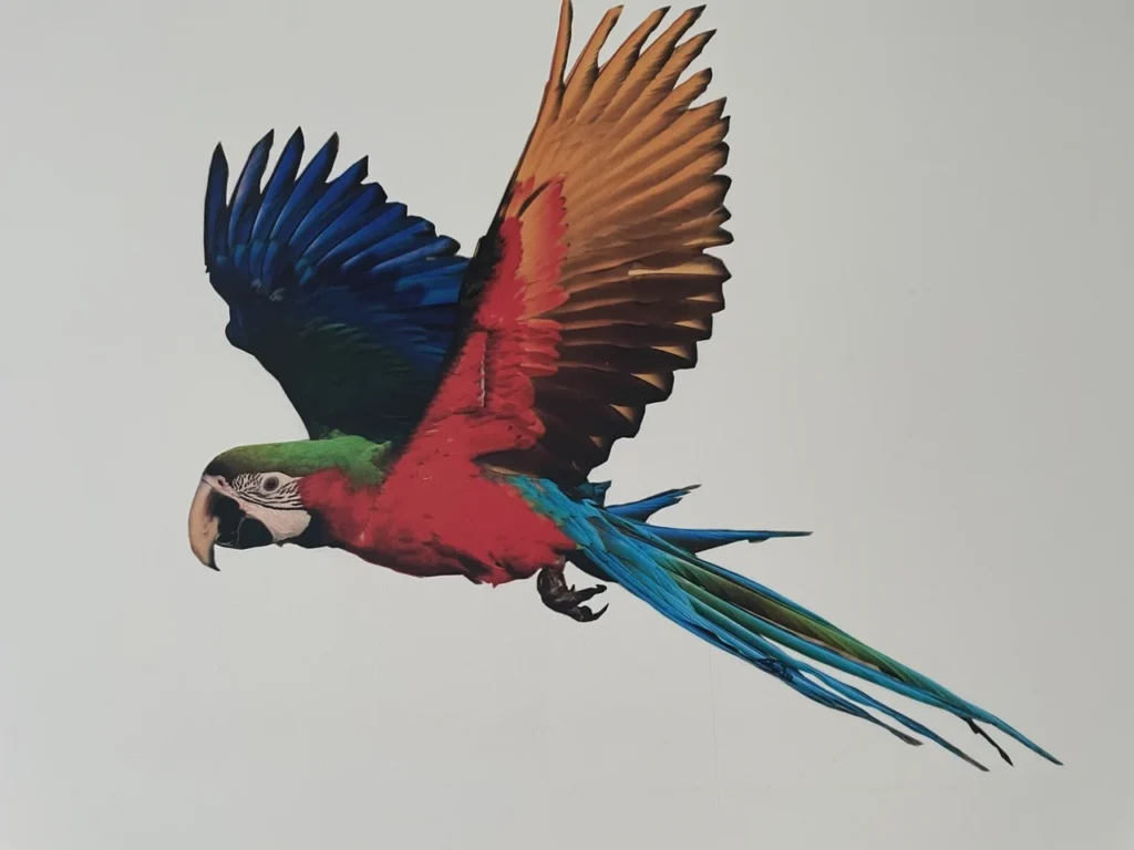 A business built on UV wall printing technology – the key to success in a modern industry